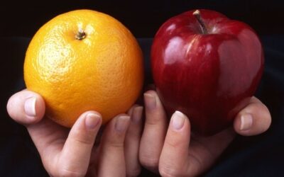 Snacking Your Way to Success: Guilt-Free Ideas That Keep You Full